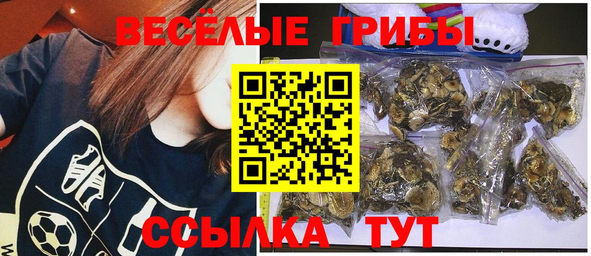Галлюциногенные грибы Psilocybe  Псилоцибиновые грибы мицелий  Вход с VPN  Новошахтинск 
